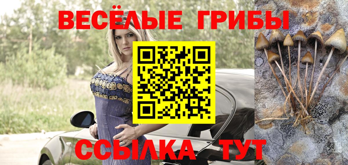 Пенза  Псилоцибиновые грибы Magic Shrooms  купить закладку  Вход с VPN  Псилоцибиновые грибы мухоморы 